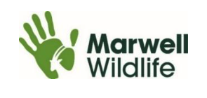 Marwell Wildlife logo