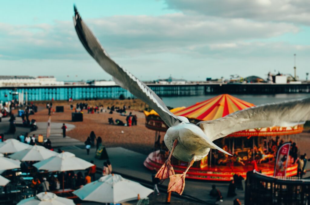 Search strategy and digital marketing illustration